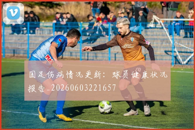 国足伤病情况更新：球员健康状况报告_20260603221657