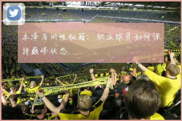 本泽马训练秘籍:职业球员如何保持巅峰状态